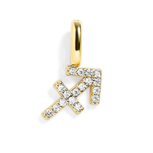 PAVE ZODIAC CHARM 6